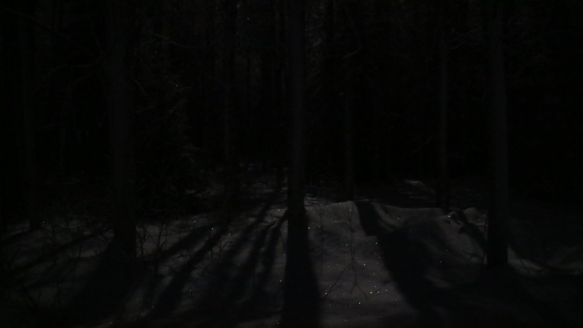 annefinn88's tweet photo. I don't like this cold, but I love moonlight walks 🌔❄️ #eveningwalk #walk #kävelyllä #moon #kuu #moonlight #nature #coldnight #fuckitscold #finland #january #tammikuu #perjantai #Friday #FridayNight https://t.co/DuqFqsaHxw