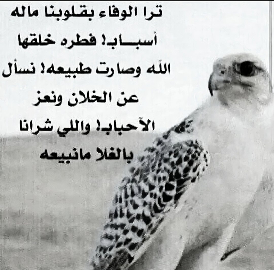 #قصيد