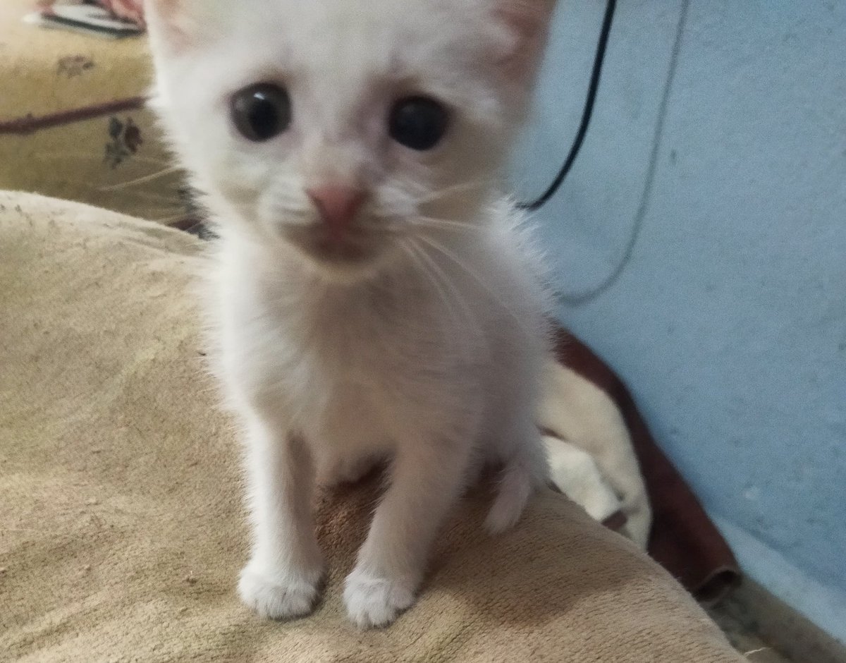 destek yok paylaşım yok çok az,,,neden görmüyorsunuz ne olması gerekiyorki paylaşım için,,