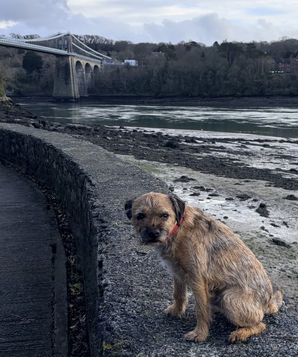 LittleGuyTed tweet media