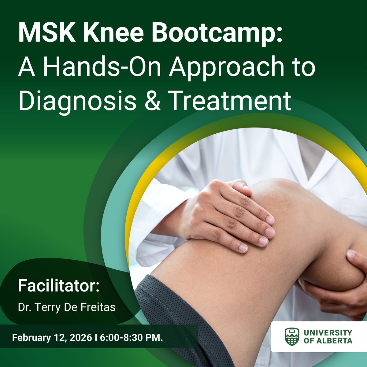 Lifelong Learning tweet media