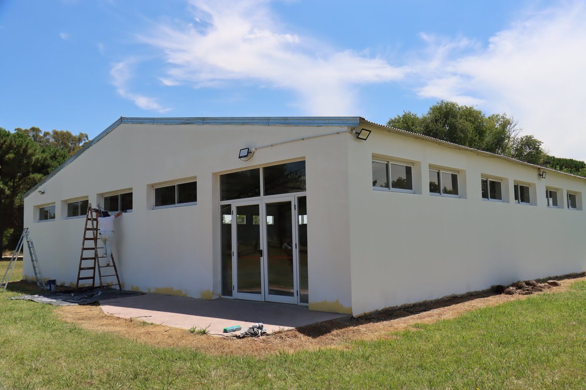 Municipalidad de Pila tweet media