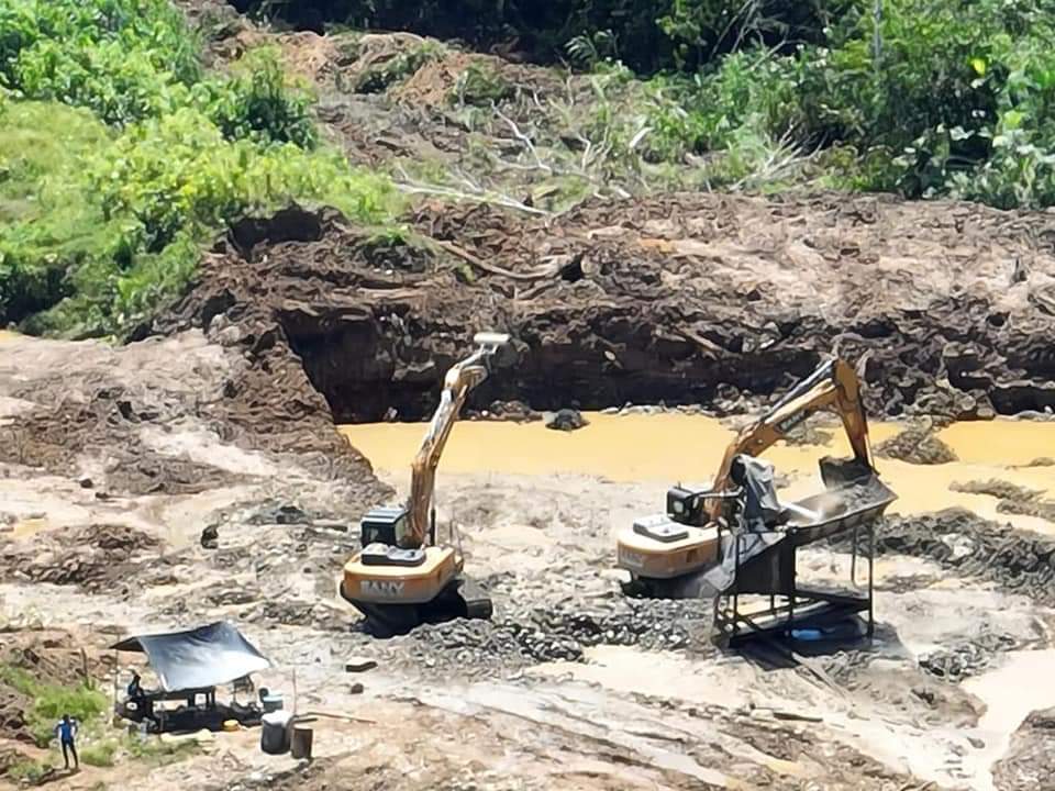 ✌🏼GRINGO✌🏼 tweet media