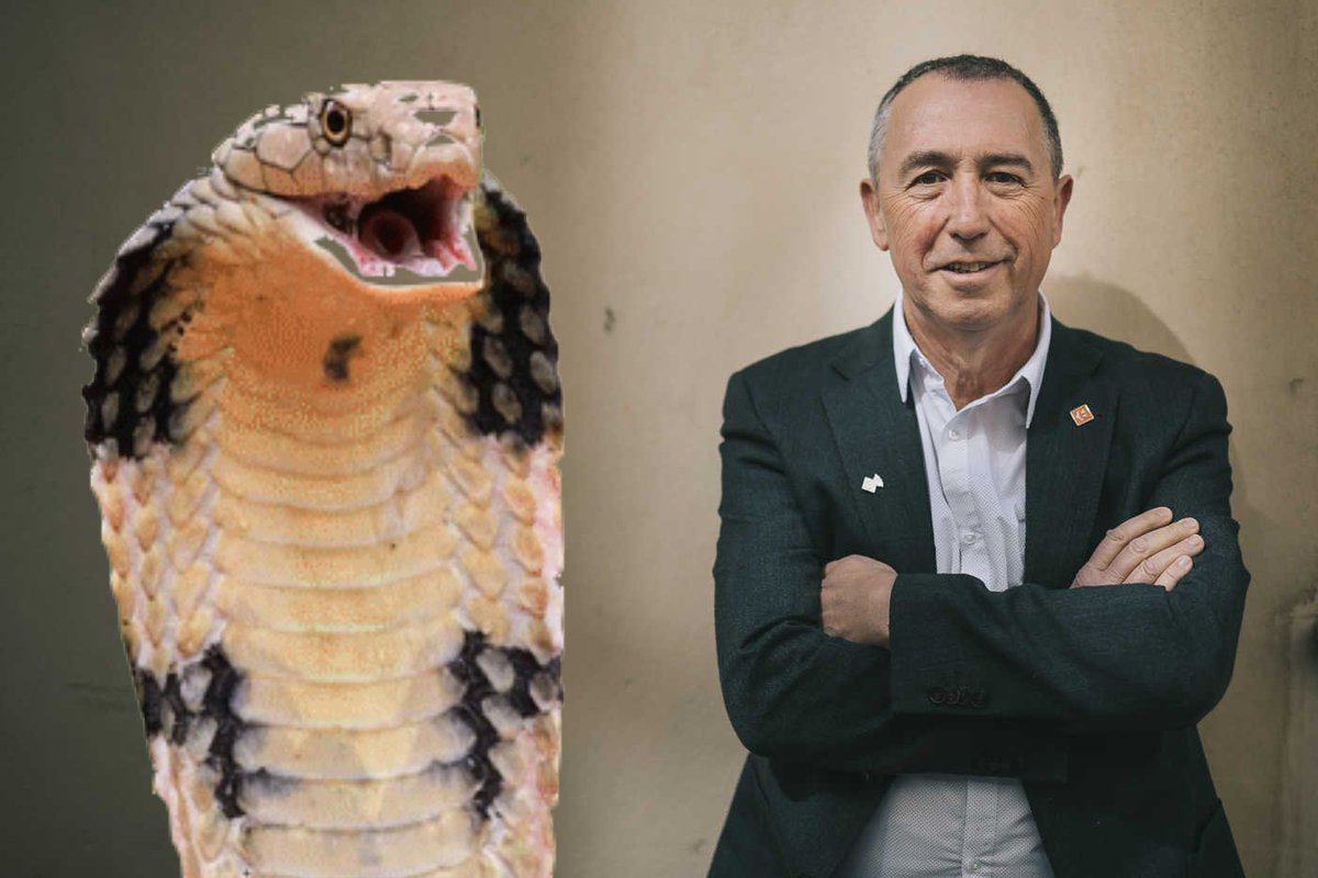 De las 2 figuras de la foto, la de la izquierda es un reptil. La de la derecha es una víbora venenosa, vividora y rastrera, perteneciente a un grupo político de extrema izquierda, oportunista por más señas y malo por naturaleza, llamado COMPROMISO (<a href="/joanbaldovi/">Joan Baldoví ;)</a>)