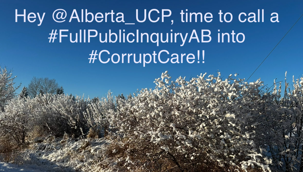 Rural Albertan 🇨🇦♥️ tweet media