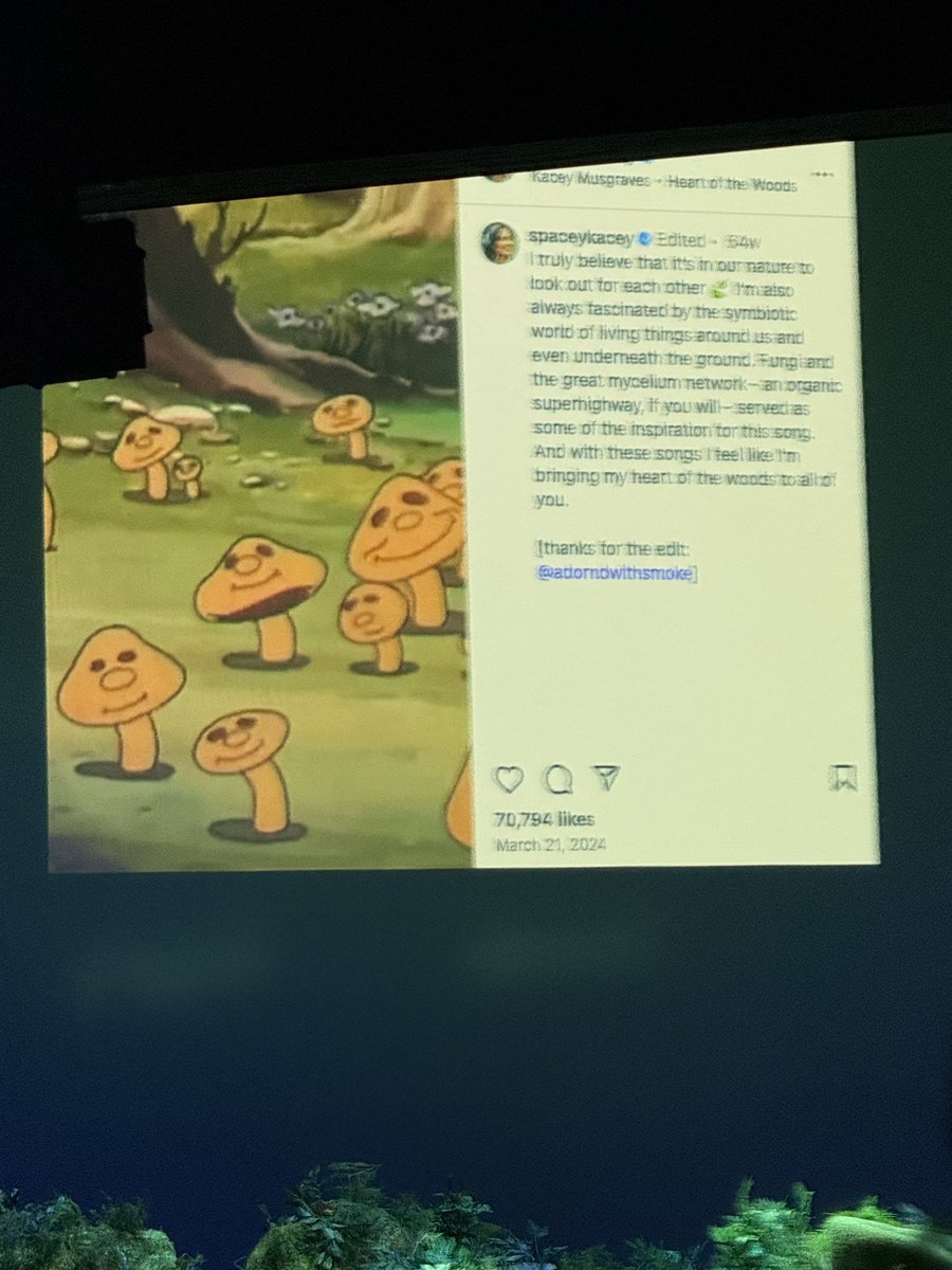 Stephen Shao 🏋️♀️ 🥋 🍄 🌊 ☀️ 🏔️ tweet media