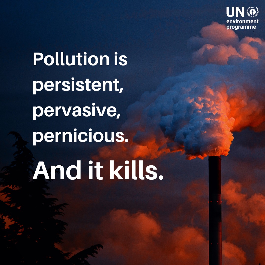 UN's tweet image. Every year, pollution is responsible for around 9 million deaths — making it one of the biggest environmental health risks to humans.

To beat pollution, we need ambitious targets, decisive action and global collaboration.

More from @UNEP: unep.org/interactives/b…