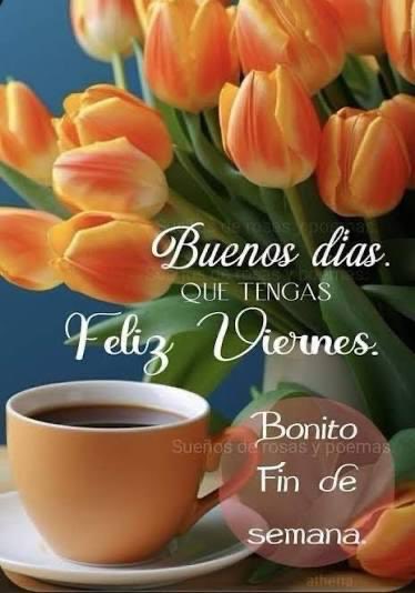 Buenos días y desde ya, feliz fin de semana, que lo pasen increíble!

<a href="/VisaCancelada/">Linda Solo Yo 💃🏻</a> <a href="/ScheztOrquidea/">Orquidea🇸🇻🇸🇻</a> <a href="/Lu_Silente/">Lu 🌸🦋</a> <a href="/JoseLucero1967/">José F Lucero J</a> <a href="/DanzarinaLunar/">Ariadna</a> <a href="/dorelipin/">Eli_z</a> <a href="/_juanchomart/">Name cannot be blank</a> <a href="/LeoncitaUmanzor/">Lyz  Kort</a>