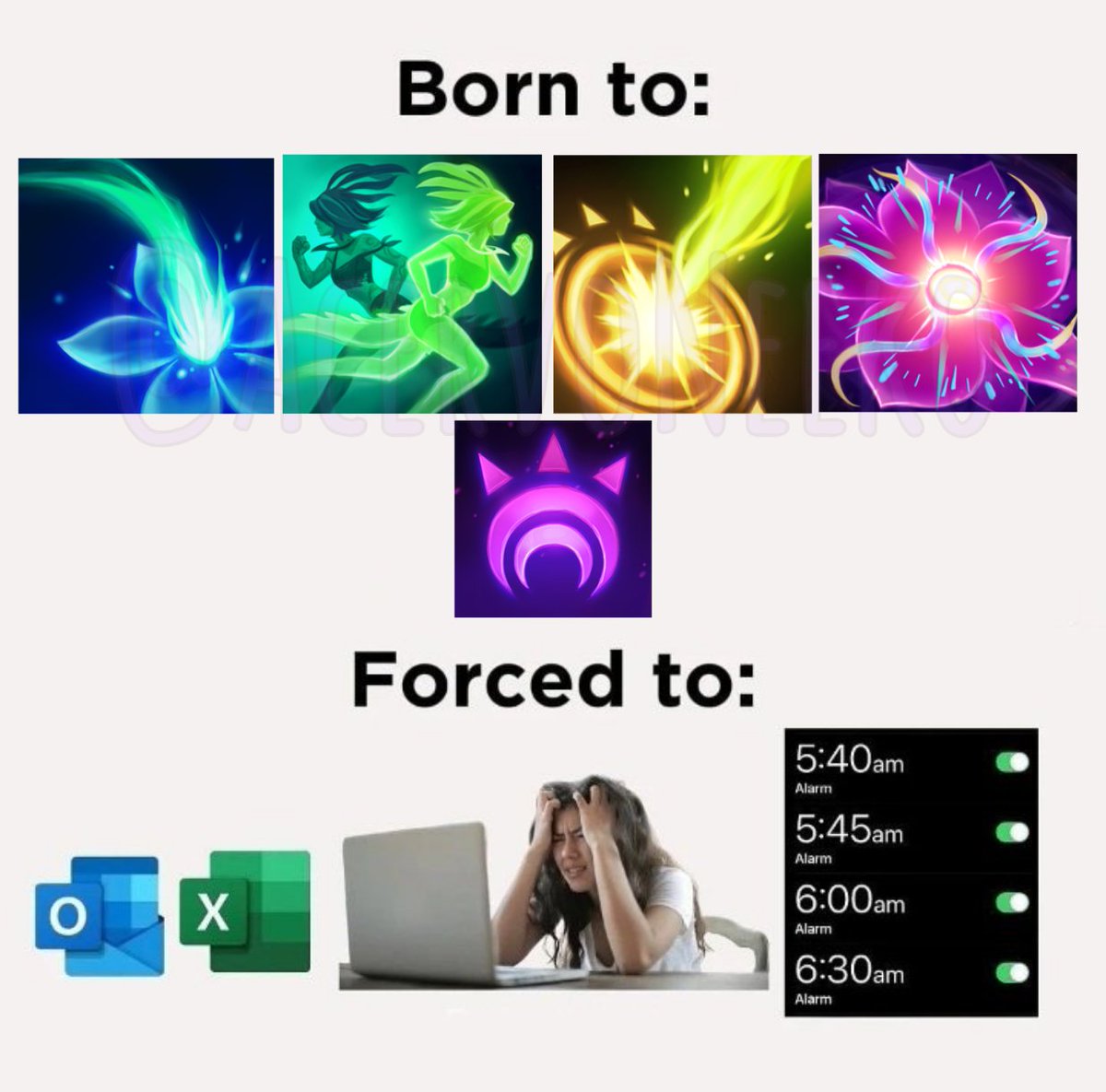 AcervoNeeko's tweet image. 