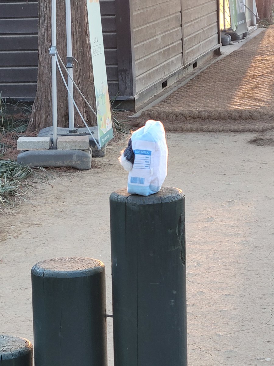 의젓하게 발열체크도함