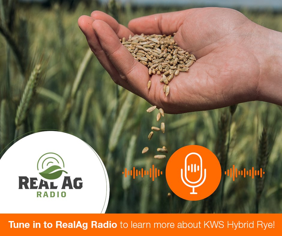 KWS Canada tweet media