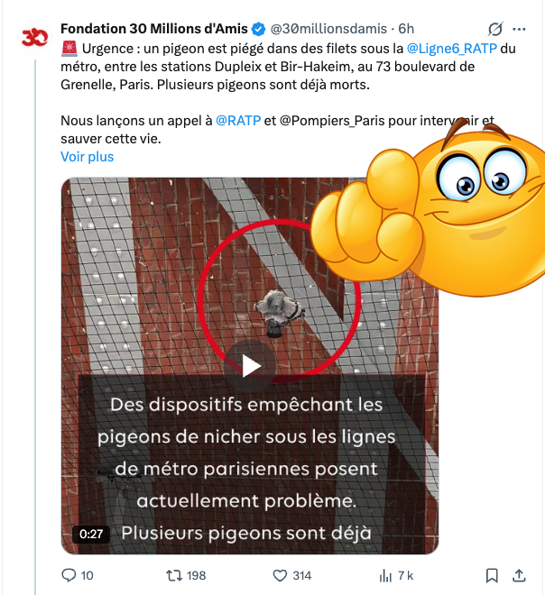 Franc Aller tweet media