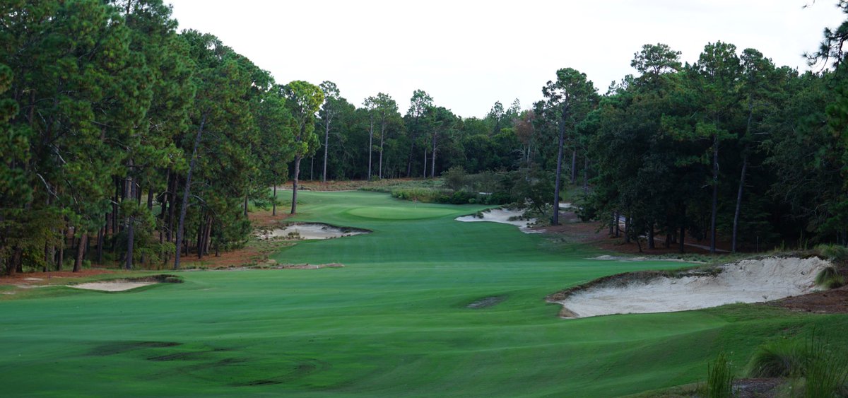 J. Liebert Golf Pics tweet media