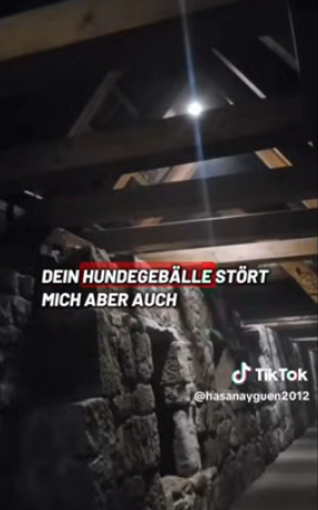 Dilynn24 tweet media