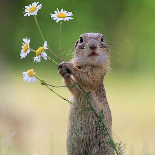 XeniaSky_6831's tweet image. Healing grows through compassion #CompassionPractice #WomenCare #InnerWarmth