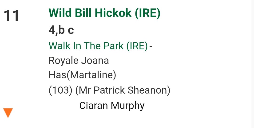 Ristéard Breathnach as gaeilge 🇮🇪 tweet media