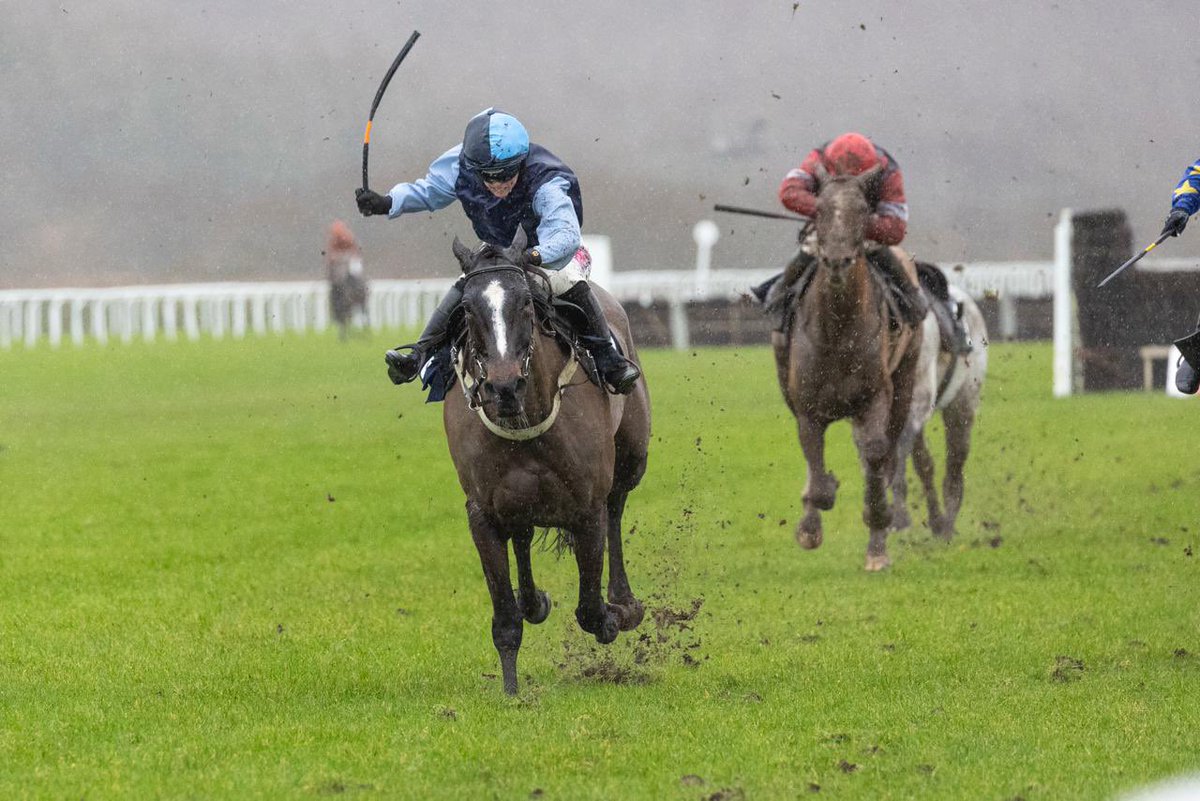 Ffos Las Racecourse tweet media