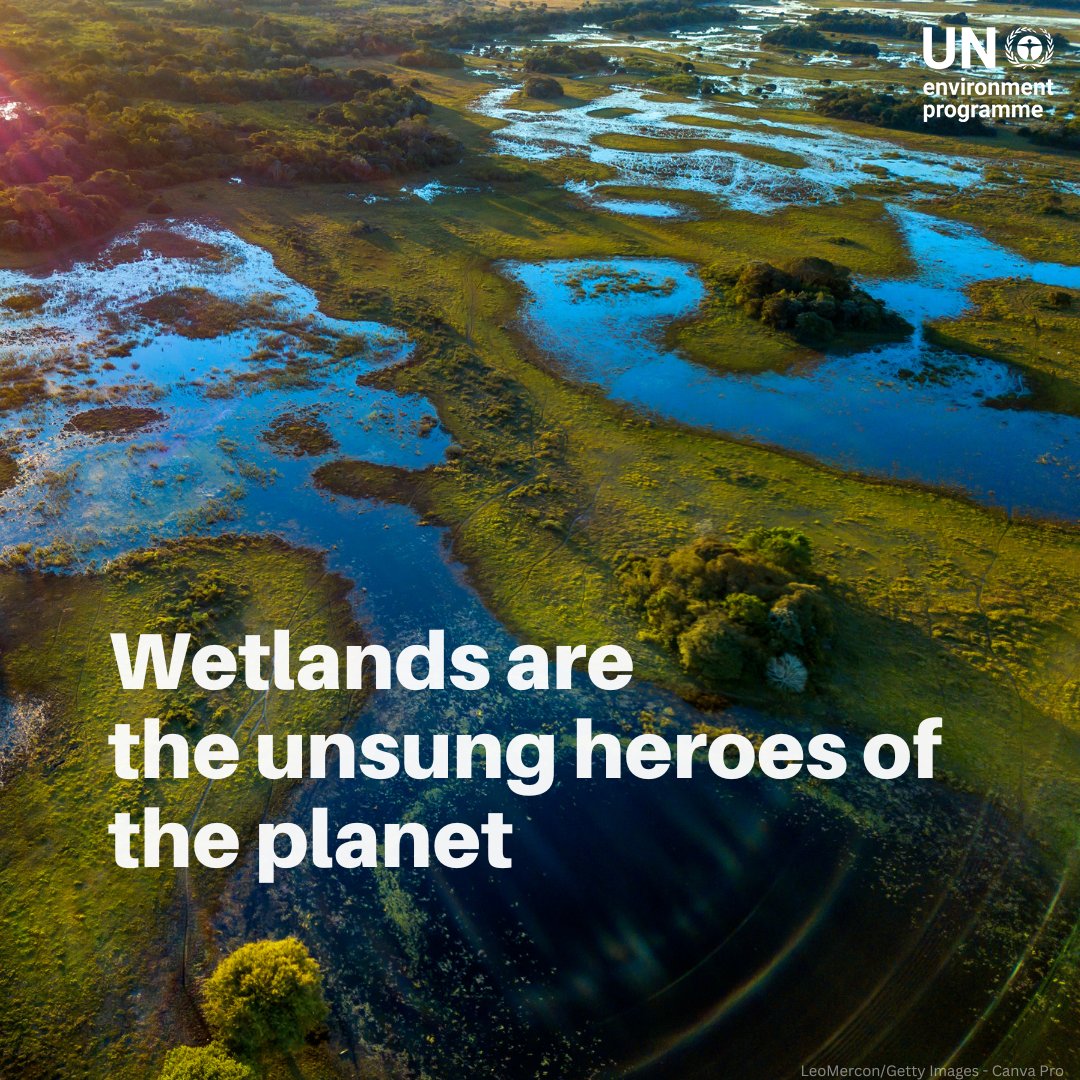 United Nations tweet media