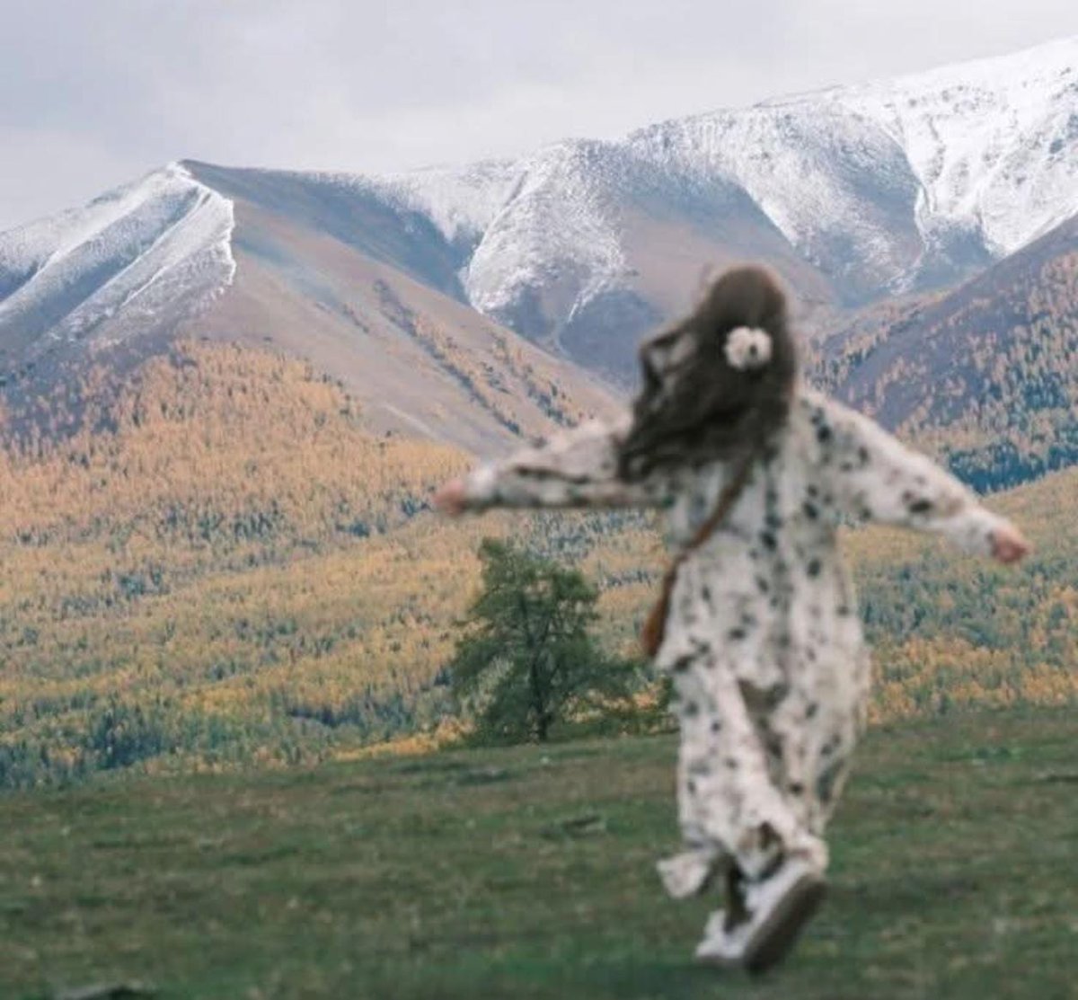 مہرو شہزادی👸 tweet media