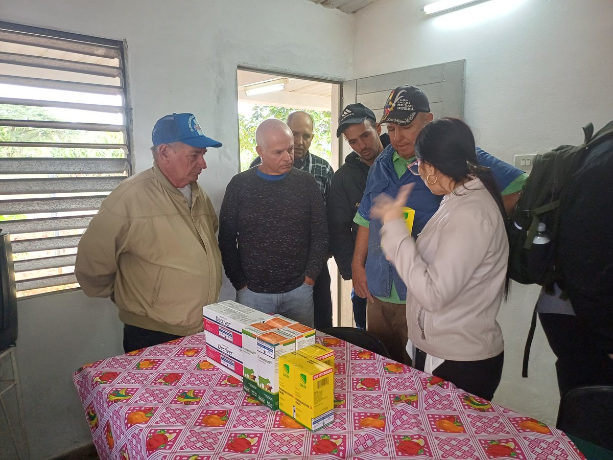 CIENPINOS tweet media