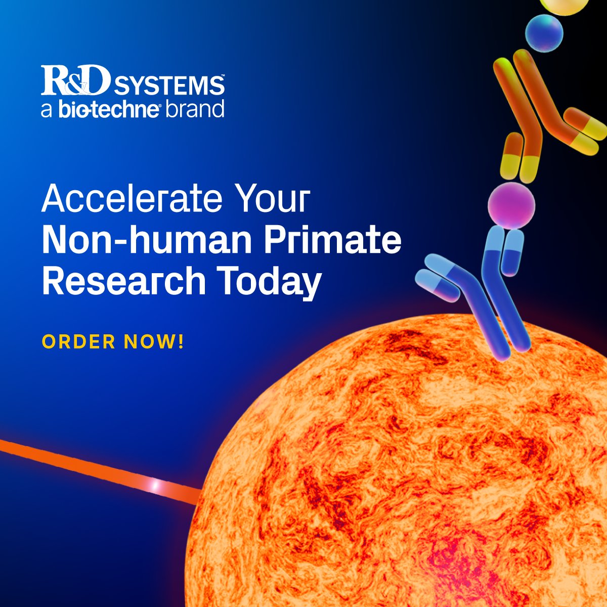 R&D Systems tweet media