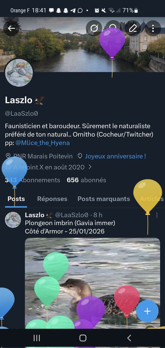 Laszlo 🦅 (@LaaSzlo0) / Posts / X