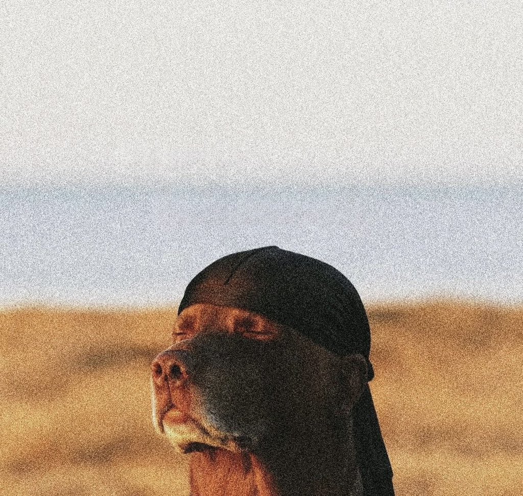 mide_crypt02's tweet image. GN CT 🌝

There’s a gap between crypto builders and everyday users.  @easydotfunX 

Easy.fun is building the bridge.  

With its mission-based onboarding, people don’t just hear about protocols they use them.

Simple, smooth, and actually fun.