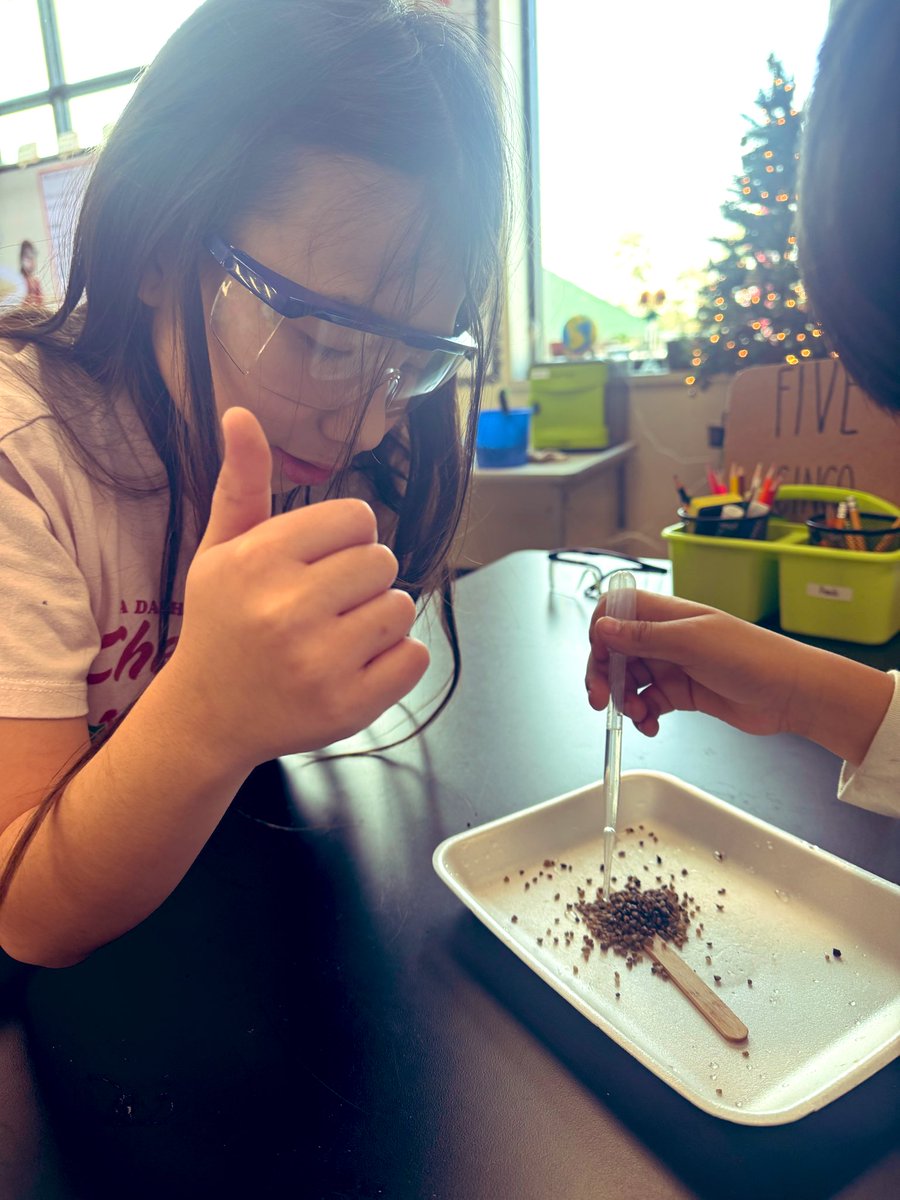 Mayra Fitch tweet media