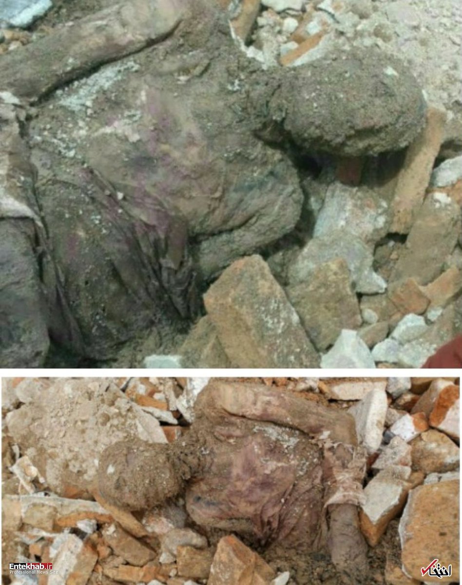 بین همه دغدغه‌ها اینکه چند ساله پیکر بزرگمرد ایران‌زمین اسیر دست این زنازادگان تاریخه دیوونه‌م میکنه، وای به حالتون اگه بلایی سرش آورده باشید کسکشها. قبر مرده و زنده هفت نسلتون رو میگاییم.