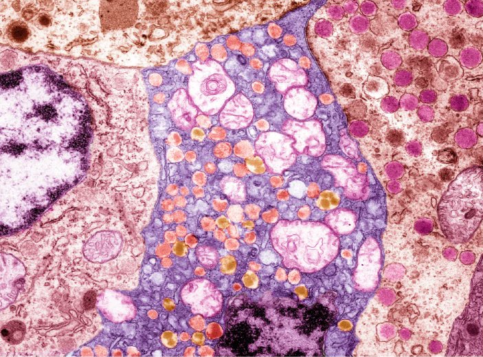 Nature Biotechnology tweet media