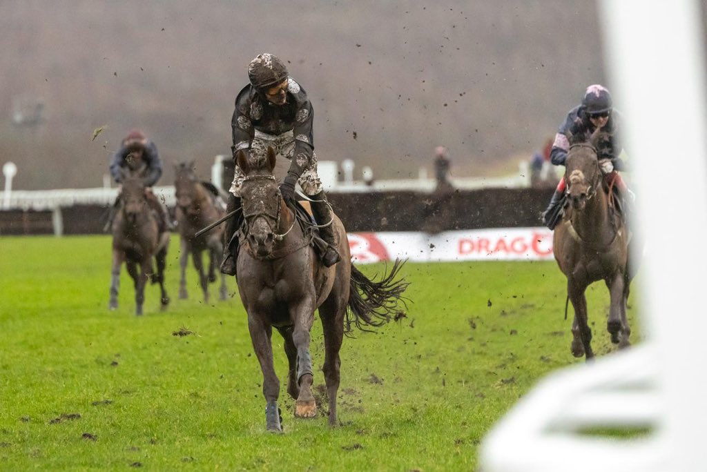 Ffos Las Racecourse tweet media