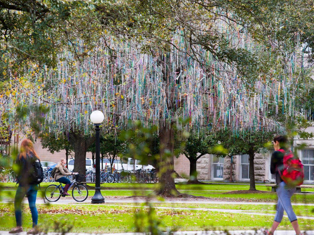 Tulane University tweet media