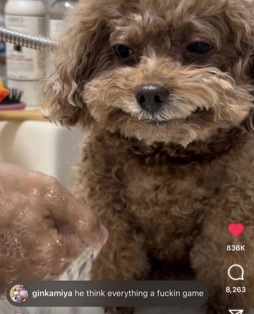 julia (@ioversue) on Twitter photo 