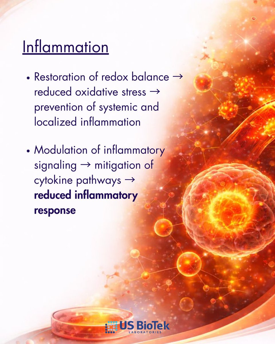 Polyphenols do more than neutralize free radicals 🧬

Research links specific polyphenols to:
🧠 Neuroprotection
🔥 Inflammation
❤️ Cardiovascular support
🍬 Diabetes
🎗️ Cancer
⚖️ Metabolic health/obesity

See our Instagram or Facebook for more!