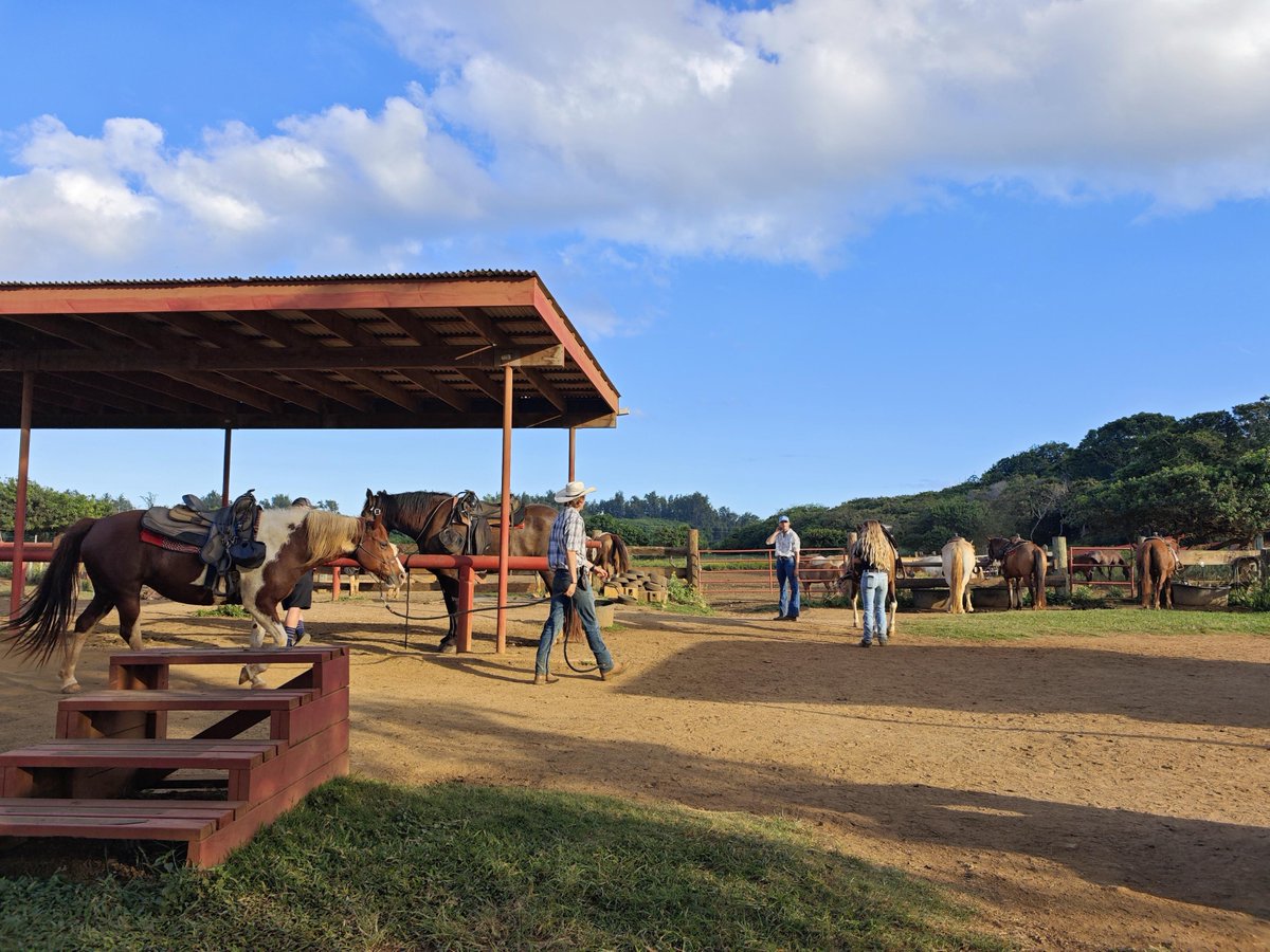 zencsdf's tweet image. Be grateful for the encounter and speak not of debts