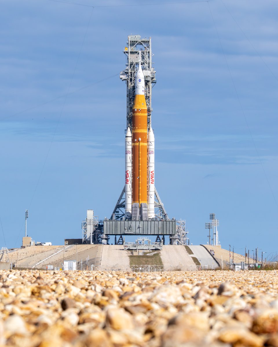 Michael Seeley tweet media