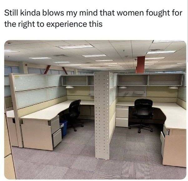 Haru 🇺🇸🇹🇼 tweet media