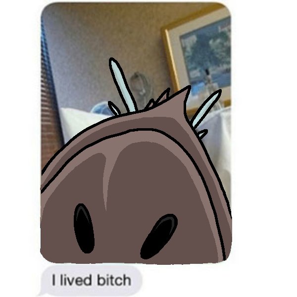 Beastfly@Chapel tweet media