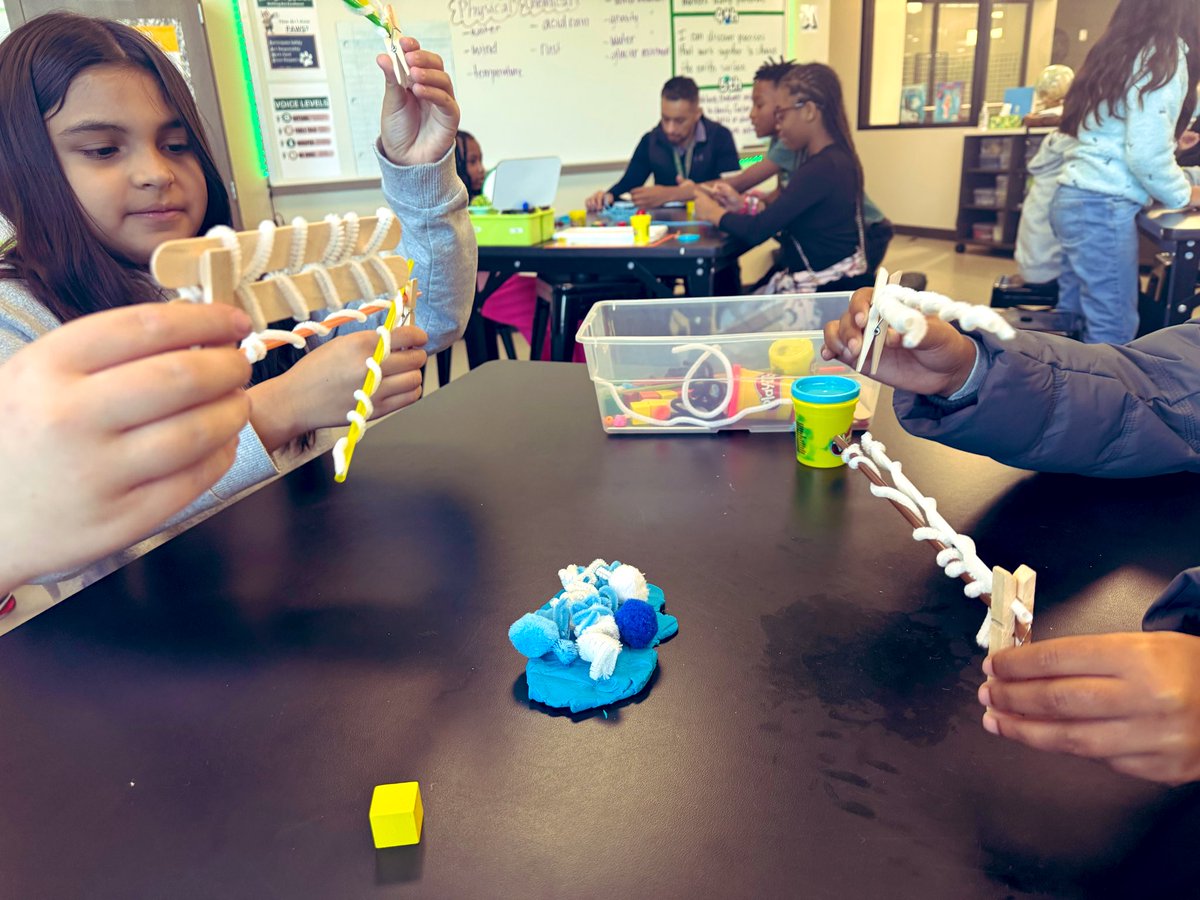 Mayra Fitch tweet media