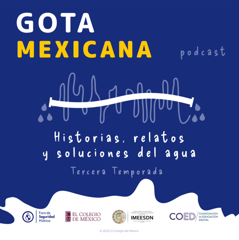 🎙️ ¡Ya disponible el nuevo capítulo "El futuro ancestral del agua" del podcast "Gota Mexicana: Historia, relatos y soluciones del agua"! 💧

En esta conversación, la Dra. Judith Domínguez (<a href="/elcolmex/">El Colegio de México</a>) y la Dra. Sandra Anchondo Pavón, integrante del Claustro Docente de nuestro