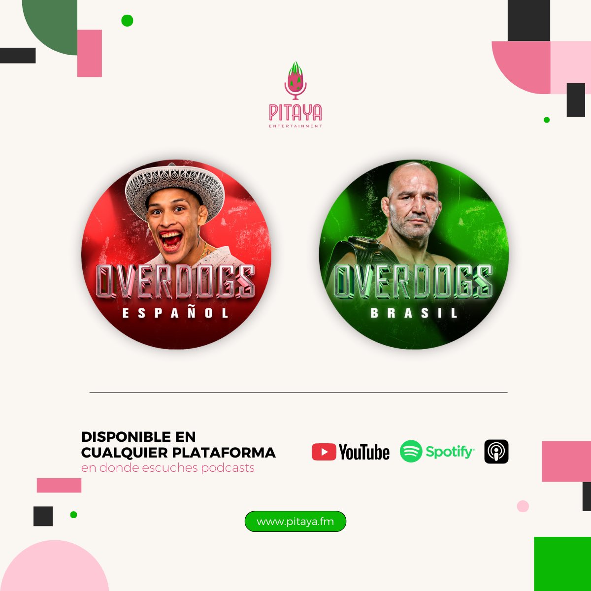 Pitaya Entertainment tweet media