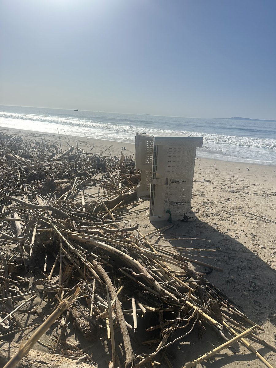kingofwindows's tweet photo. @PalogixRenalst one of your crates washed up on carpintería state beach.    @carpinteria https://t.co/LdamBc1gyX