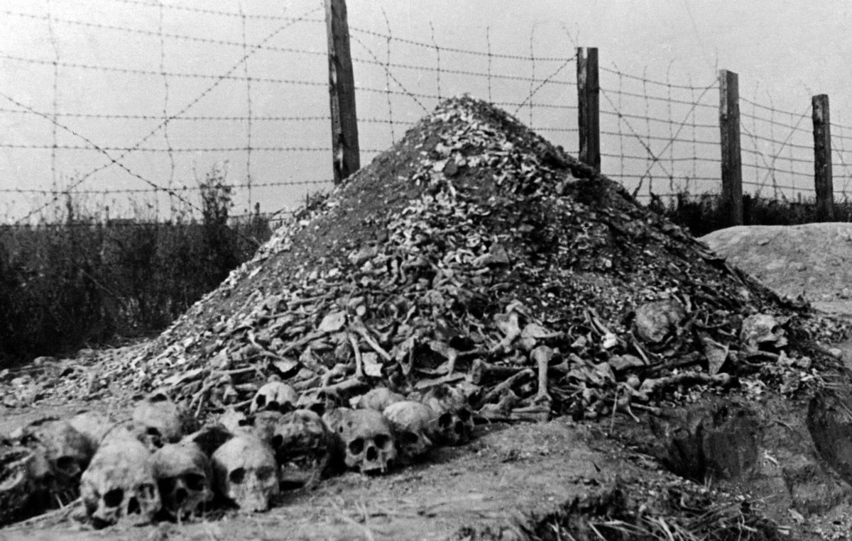 A pile of skulls and bones at Majdanek extermination camp near Lublin , German-Occupied Poland . 1944