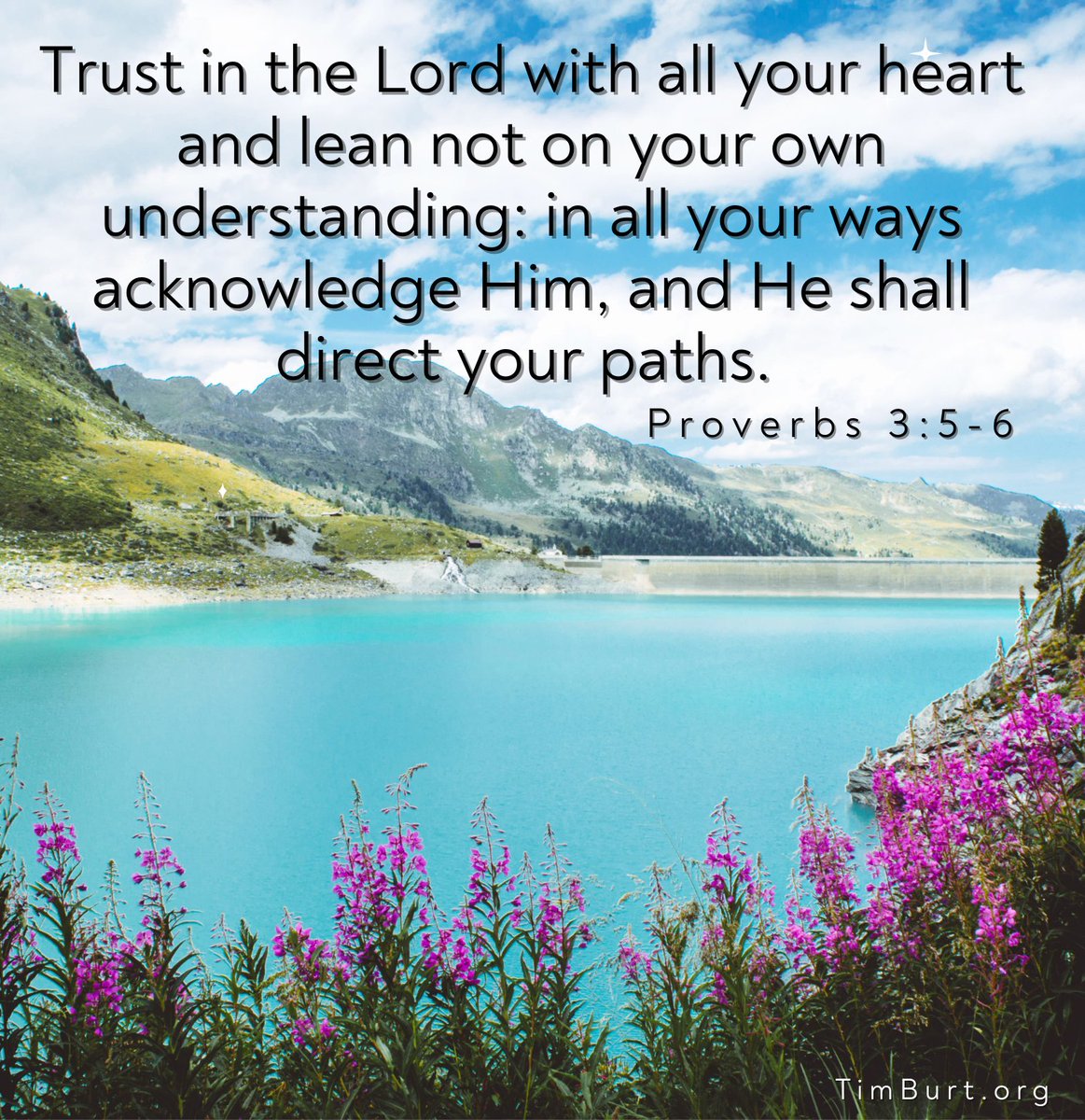 TimBurt's tweet image. 