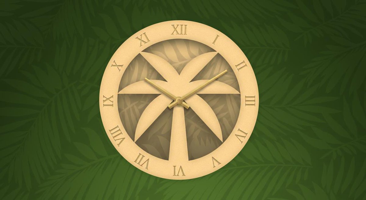 IslandDAO 🏝️ tweet media