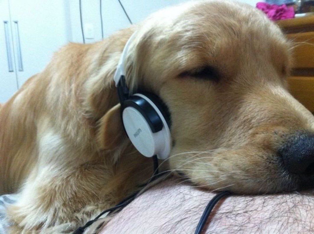 SiliGremlin's tweet image. Listening,, to my musics,,