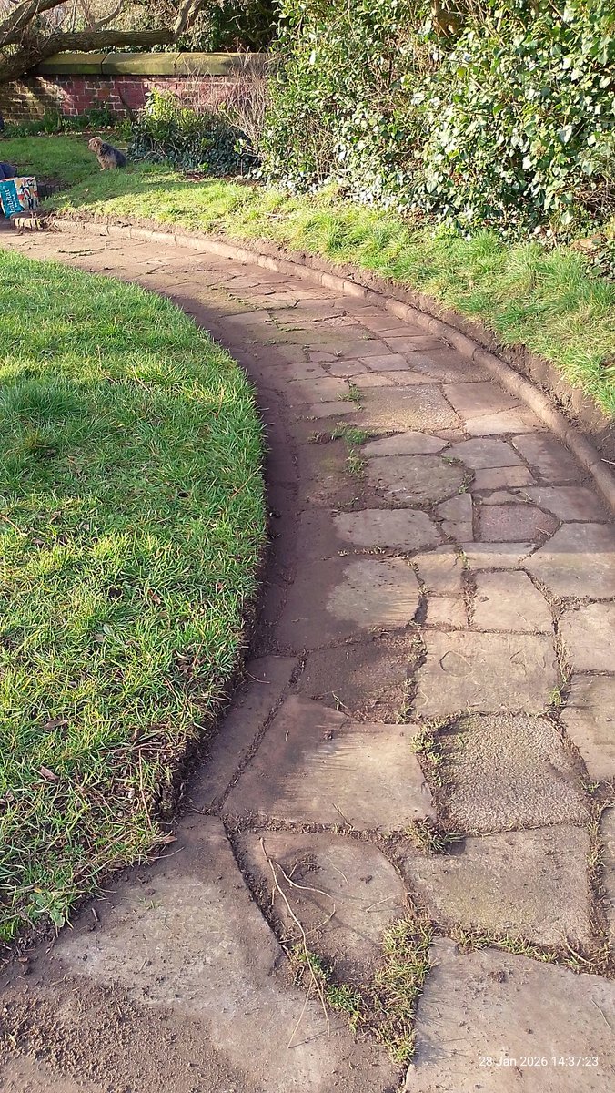 L22 Seafront Gardens tweet media