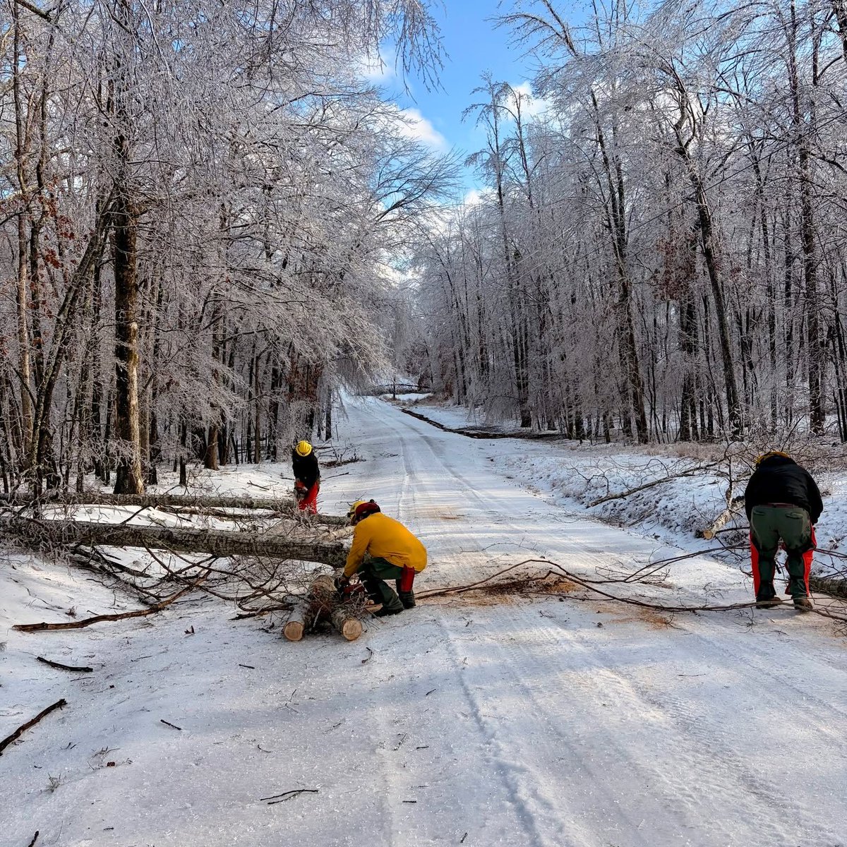 TN Dept. of Ag tweet media