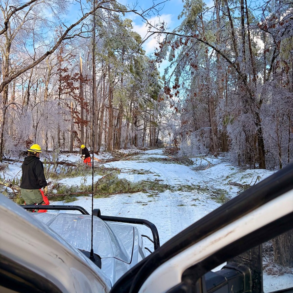 TN Dept. of Ag tweet media