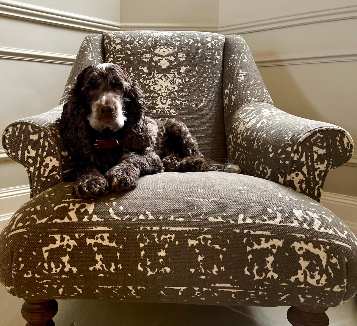 Tashy McTashface tweet media